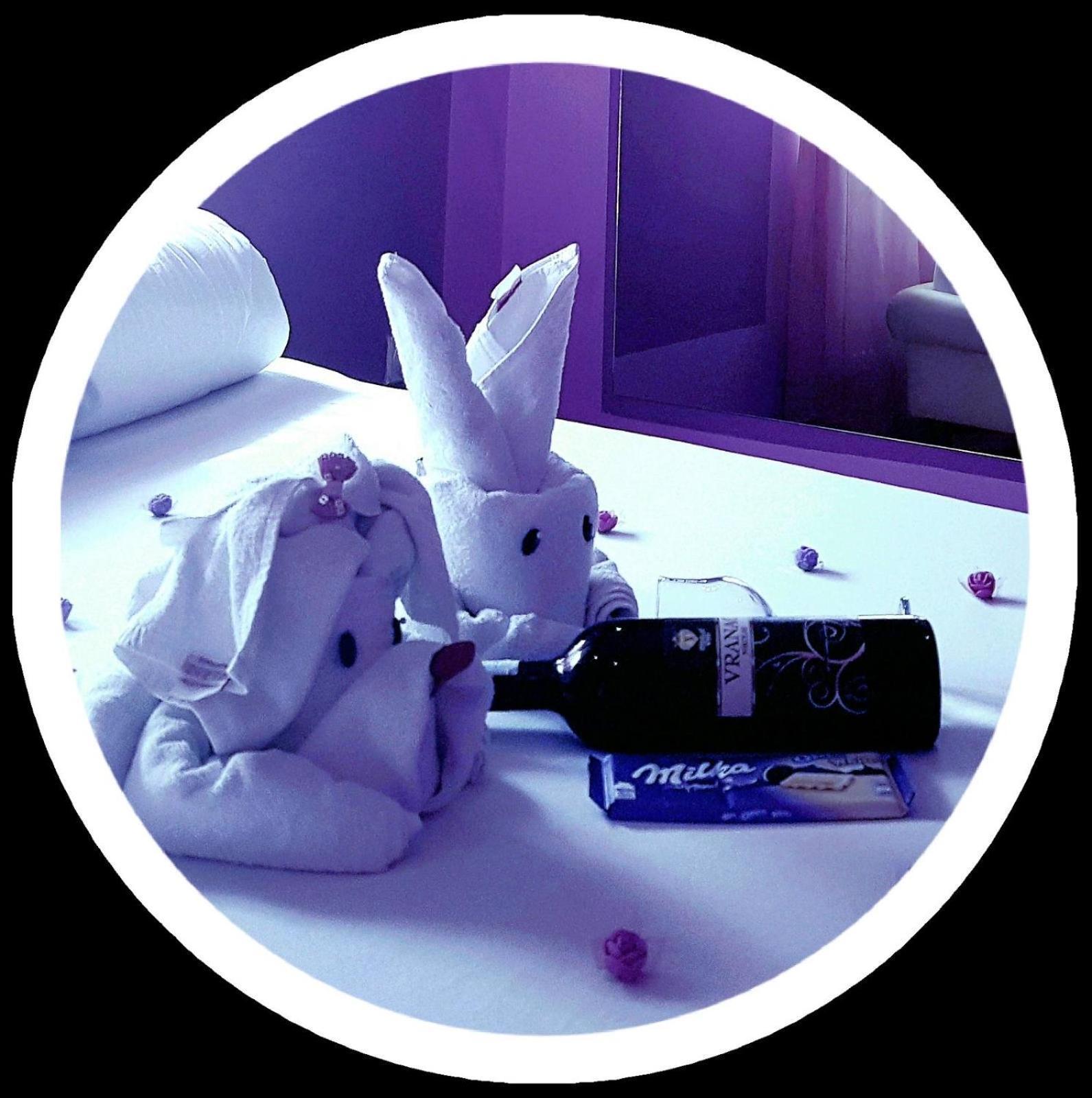 Apartment Sekulic ドボイ エクステリア 写真